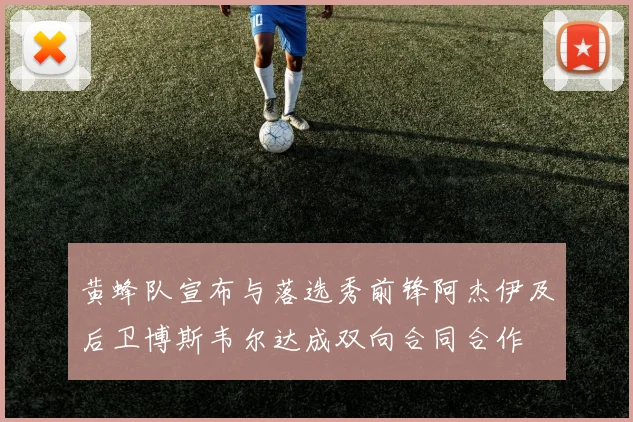 黄蜂队宣布与落选秀前锋阿杰伊及后卫博斯韦尔达成双向合同合作