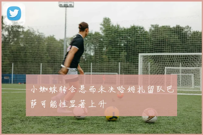 小蜘蛛转会悬而未决哈姆扎留队巴萨可能性显著上升