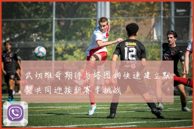 武切维奇期待与塔图姆快速建立默契共同迎接新赛季挑战