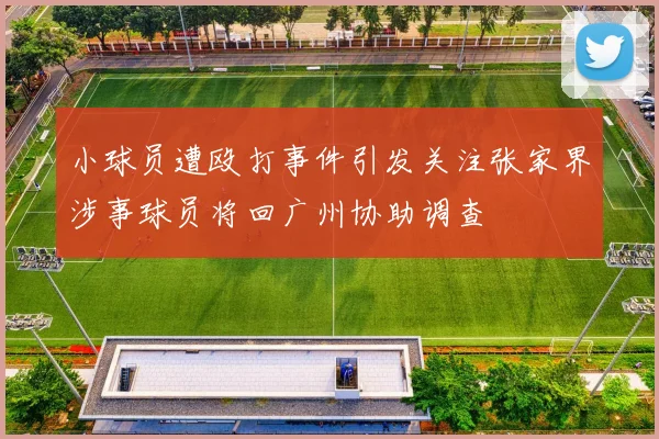 小球员遭殴打事件引发关注张家界涉事球员将回广州协助调查