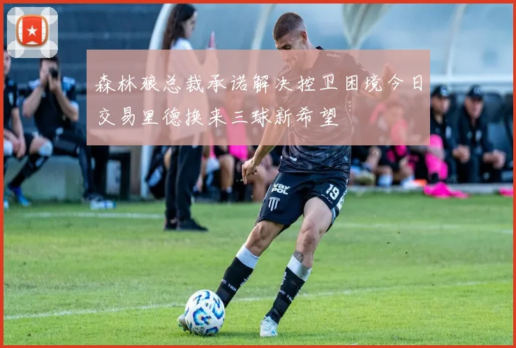 森林狼总裁承诺解决控卫困境今日交易里德换来三球新希望